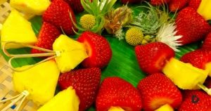 Grinfood apuesta por la lucha contra la Desertificación y la Sequía